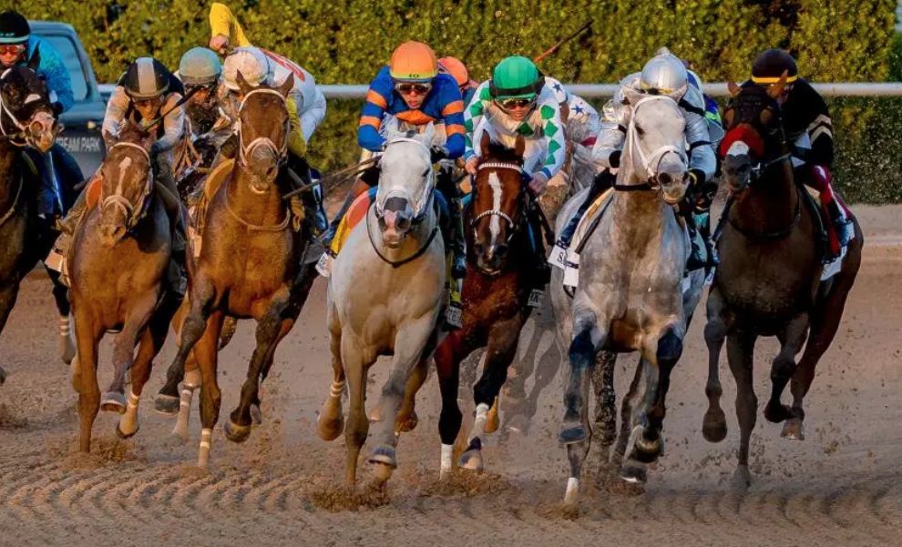 Pronostic gagnant
